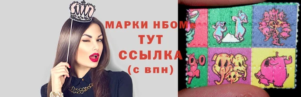 шишки Алексин