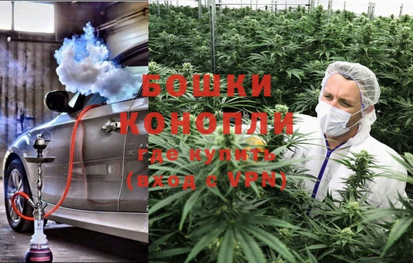 шишки Алексин