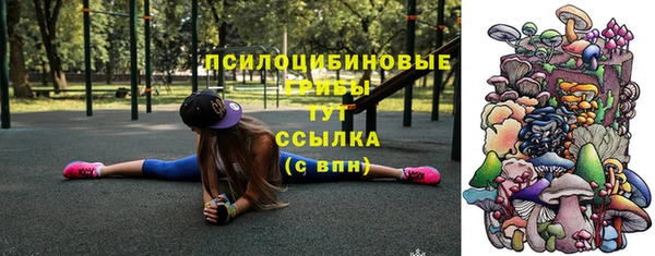 мдпв Абдулино