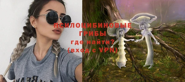 мдпв Абдулино