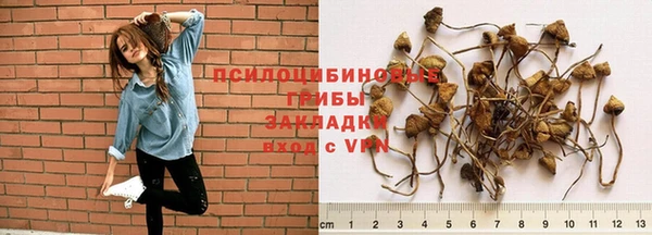 шишки Алексин