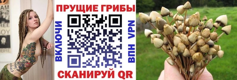 наркота  Новое Девяткино  гидра ссылка  Галлюциногенные грибы ЛСД 