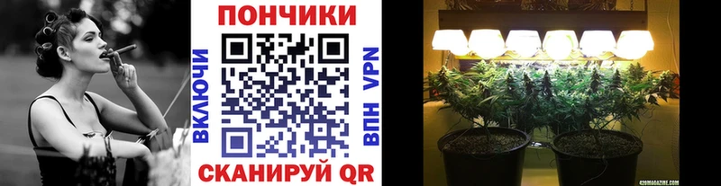 Каннабис план  Новое Девяткино 